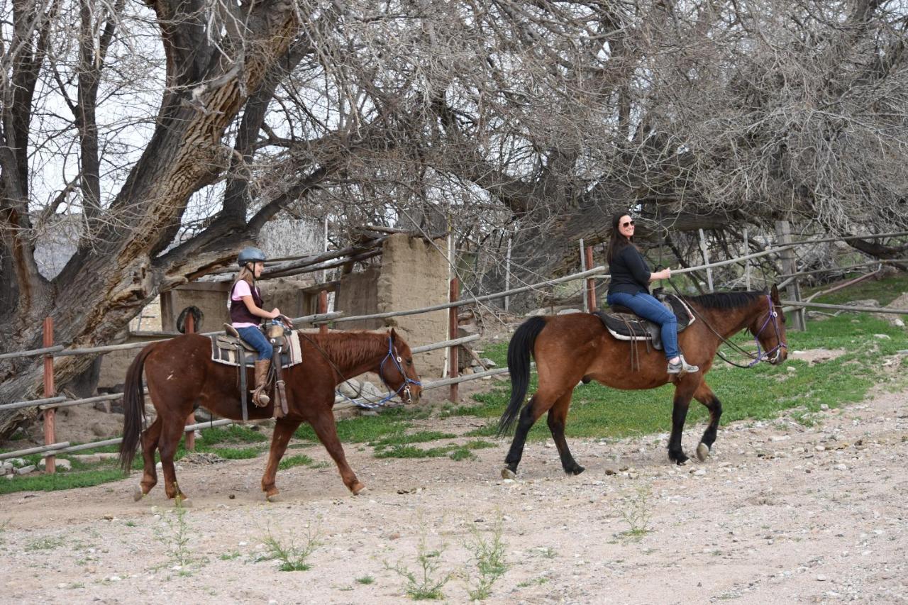 Grand Canyon Western Ranch Meadview Екстер'єр фото